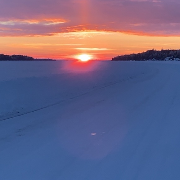 Meet your Posher, Logan - Picture 1 of 1